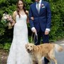 Photo of Canine Car Pet Taxi