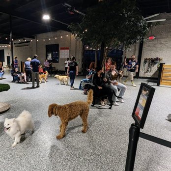 Park-9 Dog Bar - Bars Near Me - Everett, Massachusetts Park-9 Dog Bar - Bars Near Me - Everett, Massachusetts