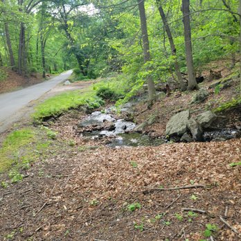 Lincoln Woods State Park - Parks Near Me - Lincoln, Rhode Island Lincoln Woods State Park - Parks Near Me - Lincoln, Rhode Island