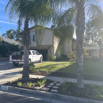 Maple Tree Services - Before pic - Tree Services Near Me