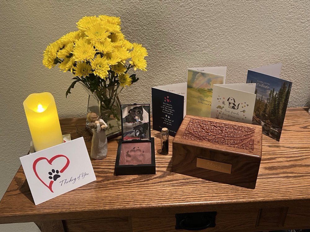 DOORSTEP VET EUTHANASIA AT HOME SPECIALISTS Updated August 2024