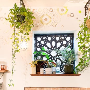 Aleppo Sweets - a window in a room with potted plants - Syrian Near Me - Providence, Rhode Island