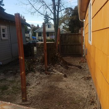 Champ's Tree Service - Tree stump right on fence line. - Tree Services Near Me - Longview, Washington