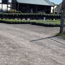 Fairmount Fruit Farm