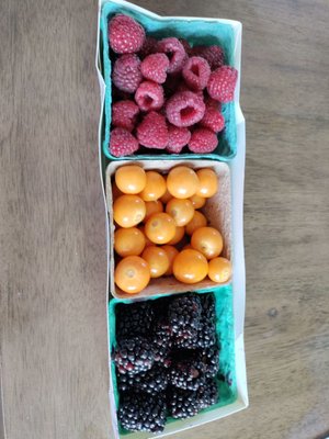 East Los Angeles Certified Farmers Market by null