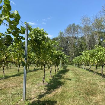 Mill River Winery - Vineyard - Wineries Near Me - Rowley, Massachusetts Mill River Winery - Vineyard - Wineries Near Me - Rowley, Massachusetts
