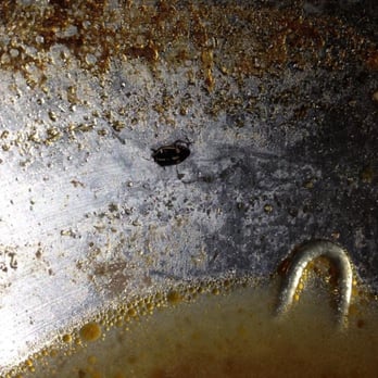 Boiling Point - Big black bug floating in my soup! puke!!! - Taiwanese Near Me - Richmond, British Columbia