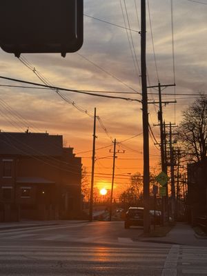 Plank's Bier Garten by null