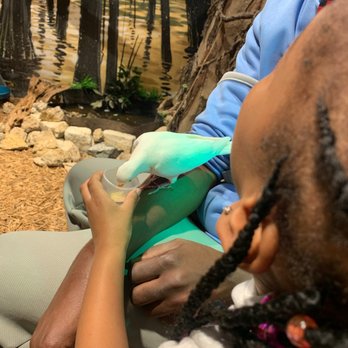 Austin Aquarium - Bird Feeding - Aquariums Near Me - Austin, Texas Austin Aquarium - Bird Feeding - Aquariums Near Me - Austin, Texas