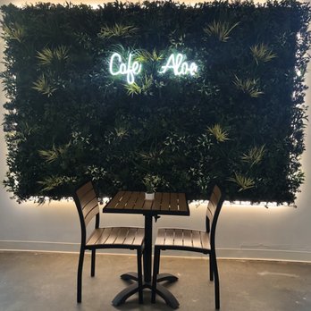 Cafe Aloe - The plant wall - Cafes Near Me - Bellevue, Washington