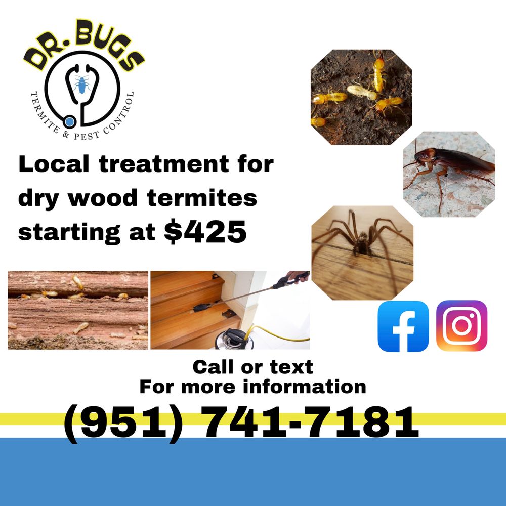 DR BUGS TERMITE & PEST CONTROL Updated July 2024 Request a Quote