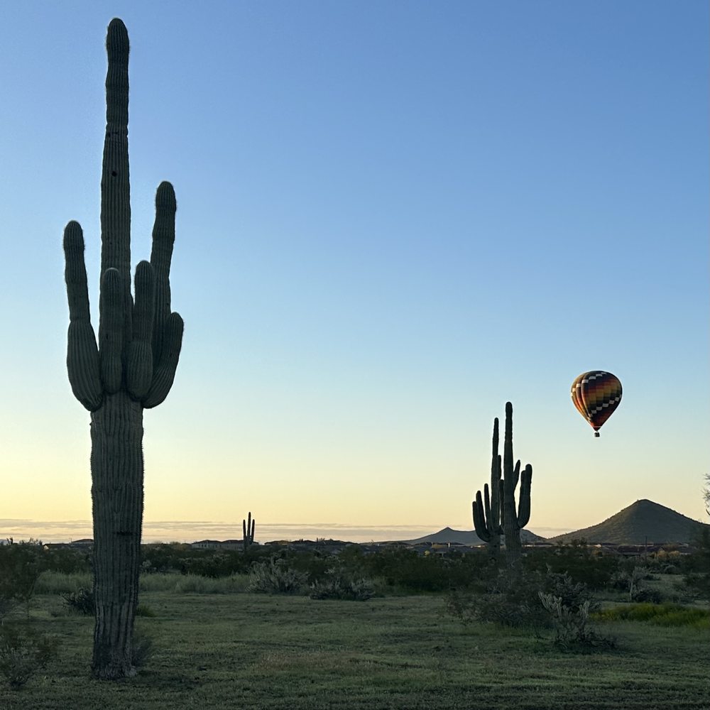 Destination Balloon Rides - Saguaro cactus - Hot Air Balloons Near Me - Phoenix, Arizona