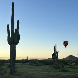 Destination Balloon Rides - Saguaro cactus