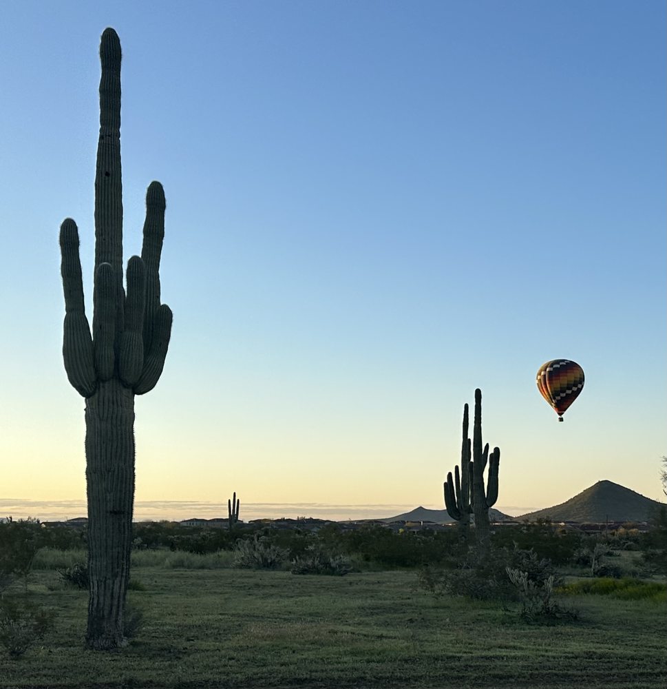 Destination Balloon Rides Logo