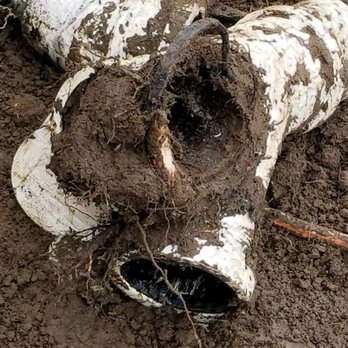 Loyalty Drains & Sewers - this is the wye we took out - Plumbing Near Me - Orting, Washington Loyalty Drains & Sewers - this is the wye we took out - Plumbing Near Me - Orting, Washington