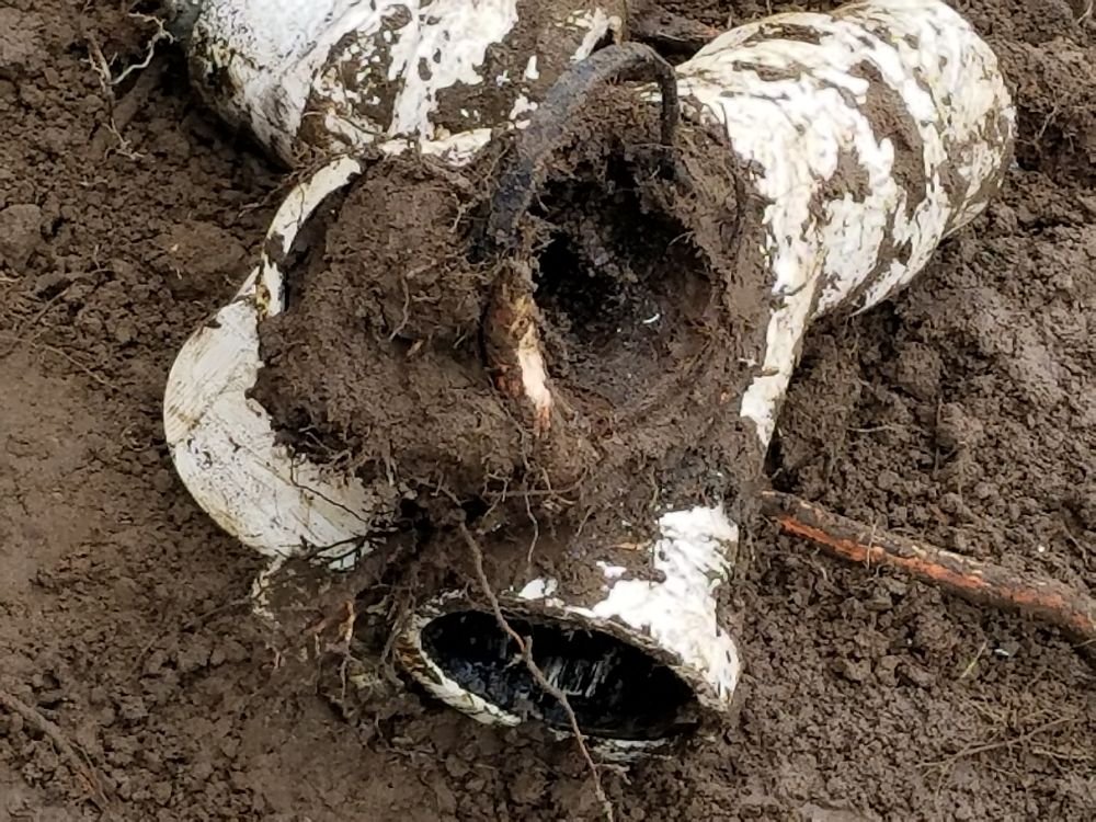 Slide of Loyalty Drains & Sewers