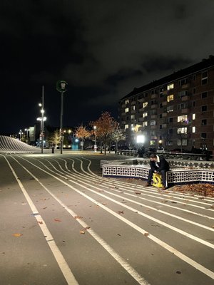 Superkilen Park by null