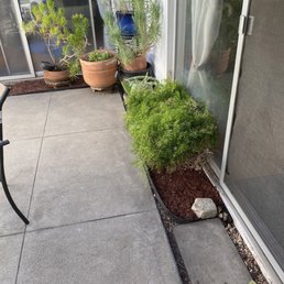 My cleaned up patio.