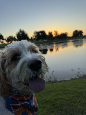 The Park at River Walk by null