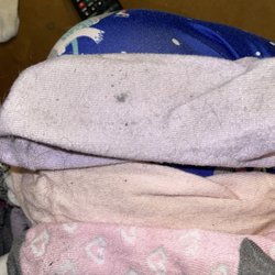 Sparkle Laundry