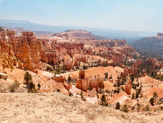 Bryce Amphitheater by null