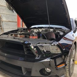 Compton Motors - Customers Shelby Mustang!