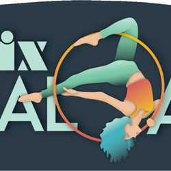 The Fix Aerial Arts - The Fix Logo