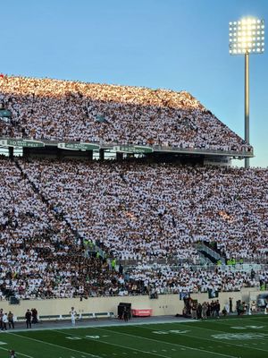 Michigan State University by null