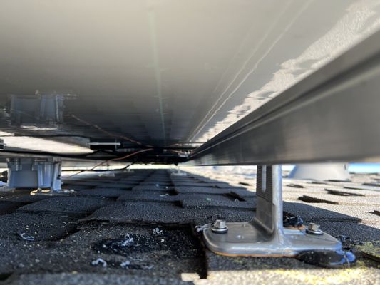 Duckys Foot Work Logo