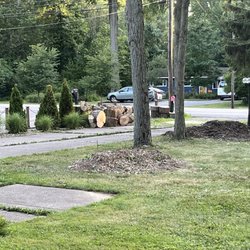 A&S Tree Service - All finished. Wood placed neatly aside as asked and all debris cleaned up.