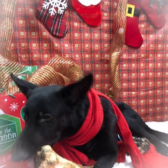 Paws 'n' Rec - Pet Training Near Me - Las Vegas, Nevada