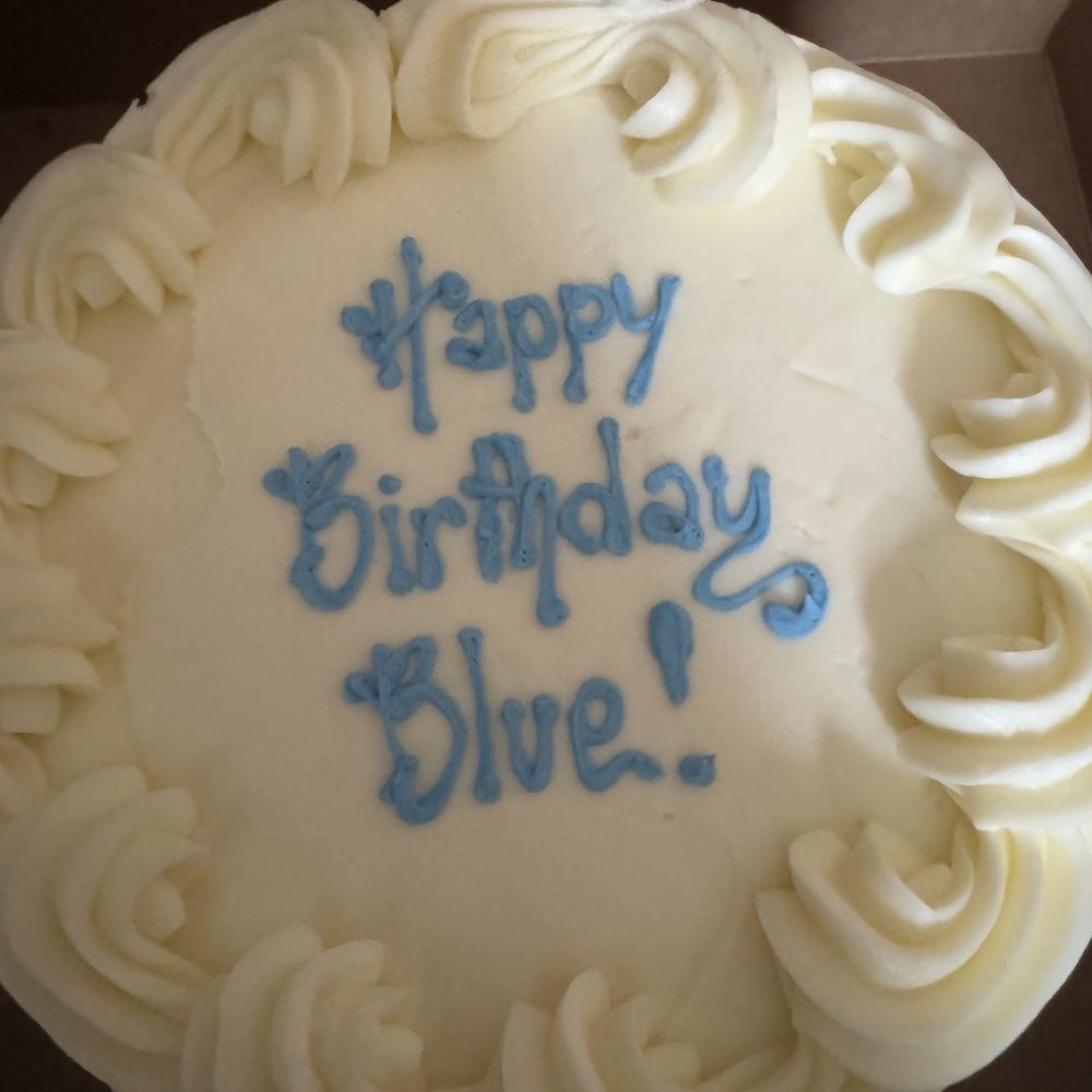 Maggie and Molly's Bakery - My boyfriend's name is not Blue (but I did ask them if they'd use blue icing, so they were halfway there.) - Bakeries Near Me - Denver, Colorado Maggie and Molly's Bakery - My boyfriend's name is not Blue (but I did ask them if they'd use blue icing, so they were halfway there.) - Bakeries Near Me - Denver, Colorado