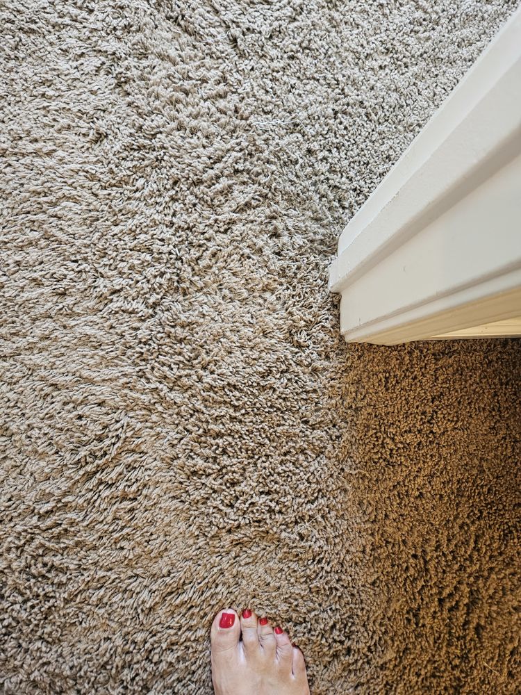 GOLD COAST CARPET CARE Updated June 2024 10 Photos & 12 Reviews