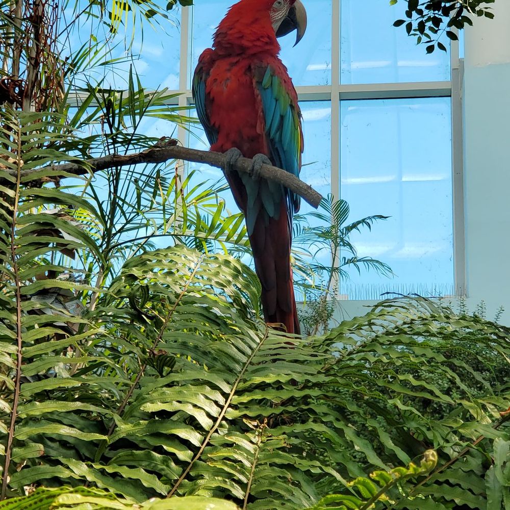 Texas State Aquarium - Aquariums Near Me - Corpus Christi, Texas Texas State Aquarium - Aquariums Near Me - Corpus Christi, Texas