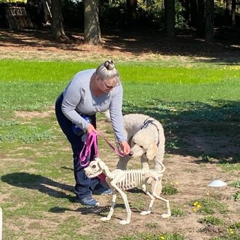 Pets Love 2 Play - Pet Training Near Me - Hubbard, Oregon