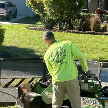 Champion Tree Care - Grinding Roots - Tree Services Near Me