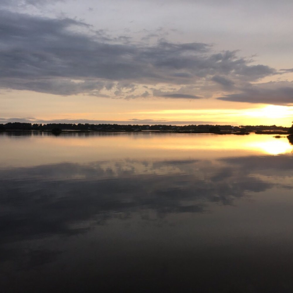View from site 10 at low tide by kayak launch