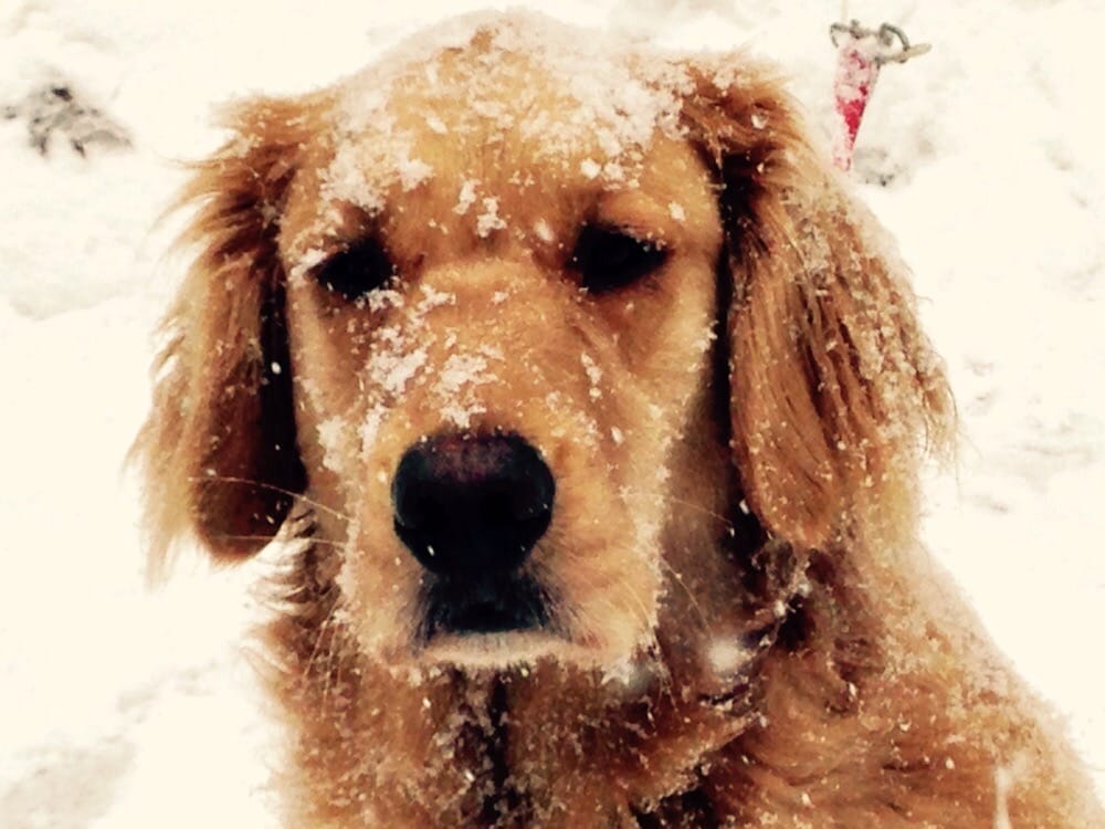 BURNT MILLS PARK Updated October 2024 11 Reviews Frontage Rd