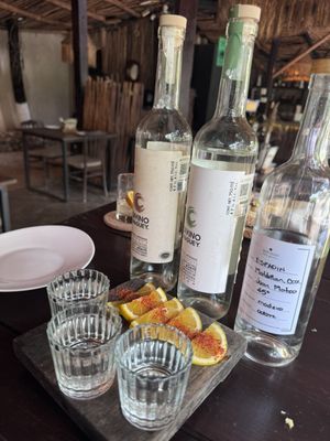 Loco Tulum Restaurant - Mediterranean Kitchen by null