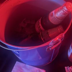 Leonardo's Night Club - Cubeta
