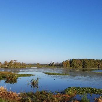 Orlando Wetlands - Parks Near Me - Christmas, Florida