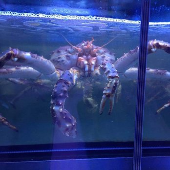 Beast - Seafood Near Me - London, XGL Beast - Seafood Near Me - London, XGL