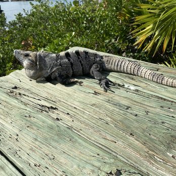 Xel-Há - Amusement Parks Near Me - Tulum, ROO