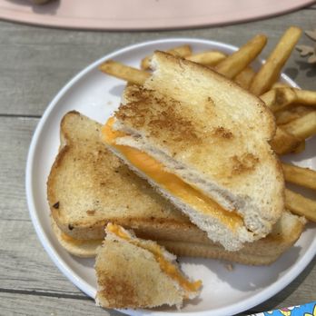 Sudwerk Brewing Co - Kids grilled cheese - Breweries Near Me - Davis, California