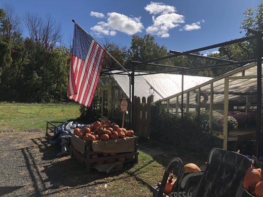 Augustine's Farm by null