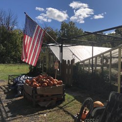 Augustine's Farm