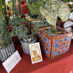 Kaiser permanente farmer's Market - Plants available. The perfect gift.