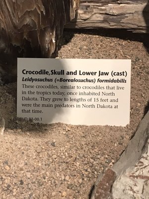 Fort Buford State Historic Site by null