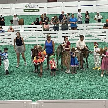 Kentucky State Fair - Cow costume contest - Stadiums & Arenas Near Me - Louisville, Kentucky Kentucky State Fair - Cow costume contest - Stadiums & Arenas Near Me - Louisville, Kentucky