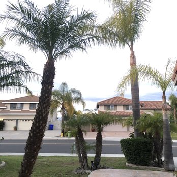 Complete Tree Services - Tree Services Near Me - Encinitas, California Complete Tree Services - Tree Services Near Me - Encinitas, California